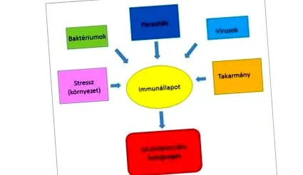 організму організму