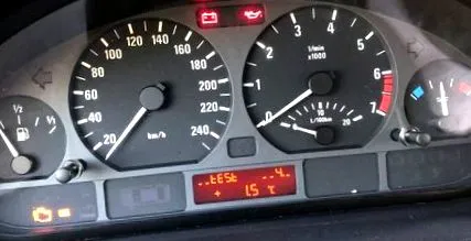 паразитів шокуюча