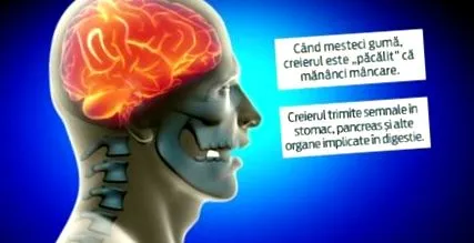 ínypenget megengedett