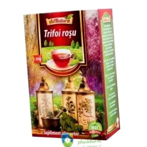 vörös lóhere