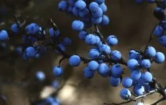 výhody