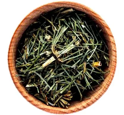 výhody