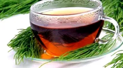 horsetail
