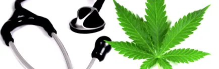 kender Cannabis