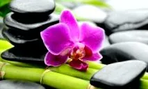 shui-ban