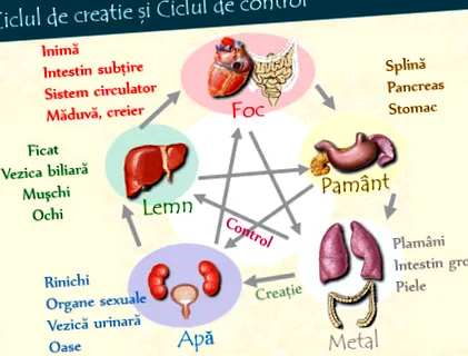 orvoslás orvoslás