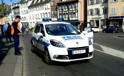 gabona strasbourgi