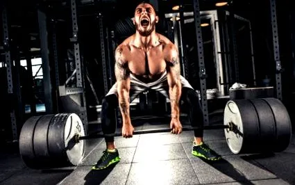 gymbeam