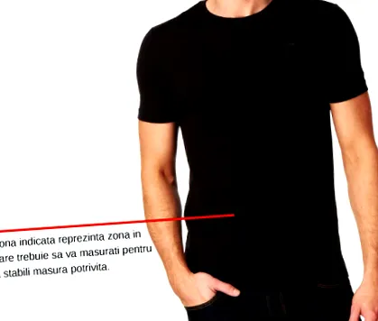 ágyéki tartóöv