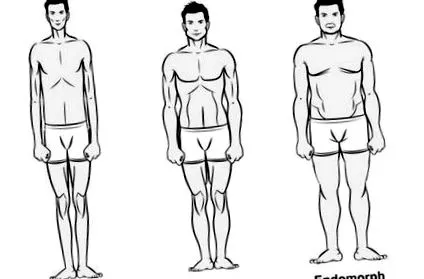 endomorfné