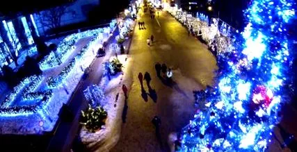iasi
