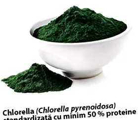 chlorella