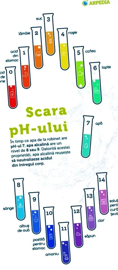 szervezet számára neked
