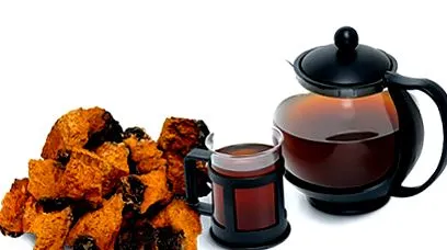 chaga