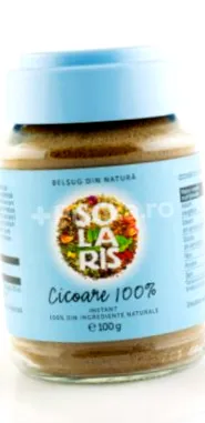 cikória
