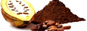 chocolite