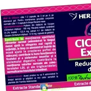 cikória kivonat cikória