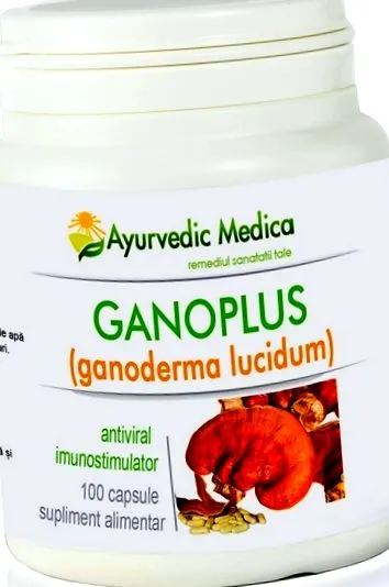 Ganoderma gomba