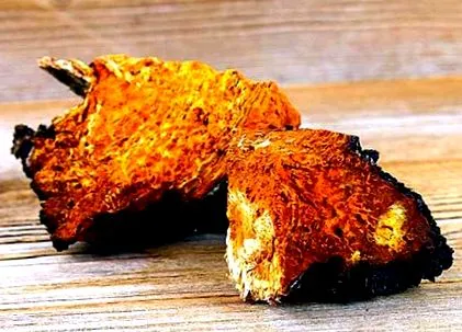 chaga chaga