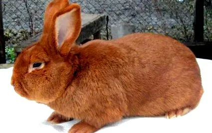 fotók