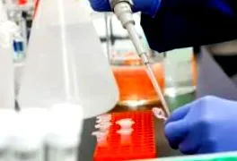 étrend-kiegészítők étrend-kiegészítők