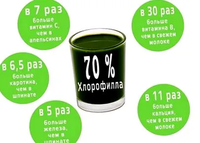 CHOCOLATE SLIM купува