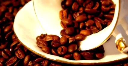 koffein