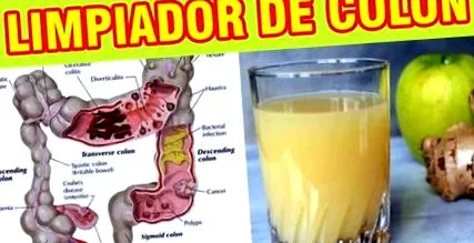 colon