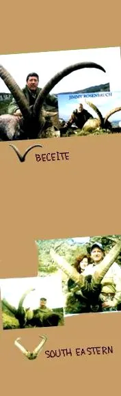 ibex beceite