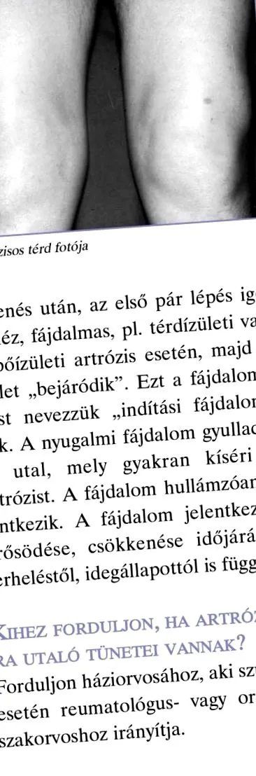 подхранване съдържание