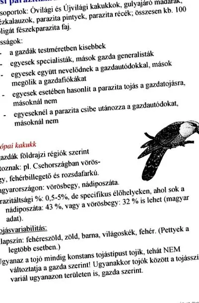 капки капки