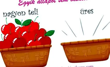 пълнота пълнота