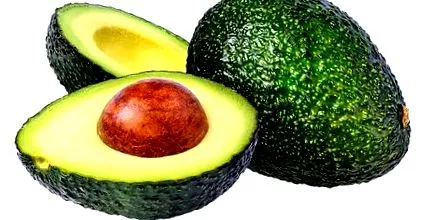 avocado avocado