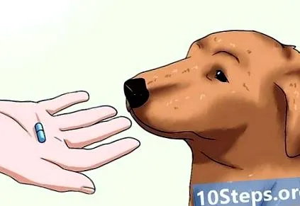 segítsek segítsek