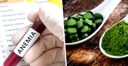 spirulinát