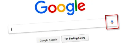 seo-t