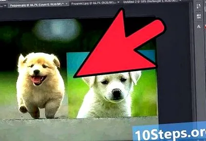 photoshop