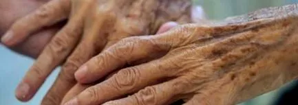 dermatológia