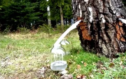може може