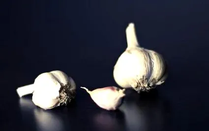 cesnakovou
