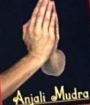 fedezze