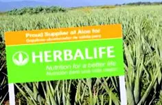 herbalife-ről blog