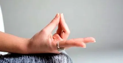 fedezze