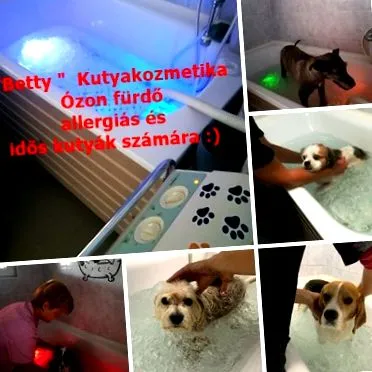 бетті
