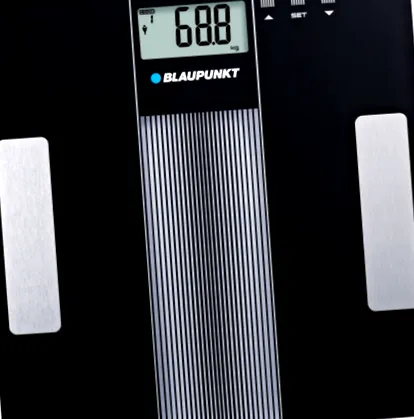 blaupunkt bsm401