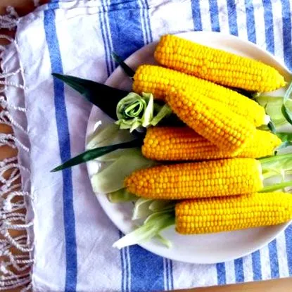 вкусът царевицата