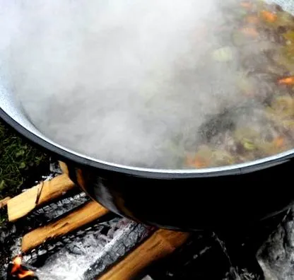 bourguignon boeuf