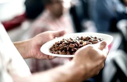 унгарски продуктът