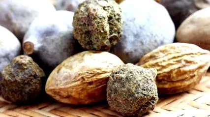 ayurveda diet