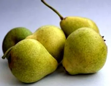 lehet